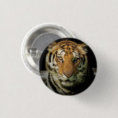 Badge Rond 2,50 Cm tigre (Devant & derrière)