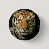 Badge Rond 2,50 Cm tigre (Devant)