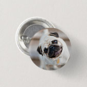 Badge Rond 2,50 Cm Tillette Carlin (Devant & derrière)