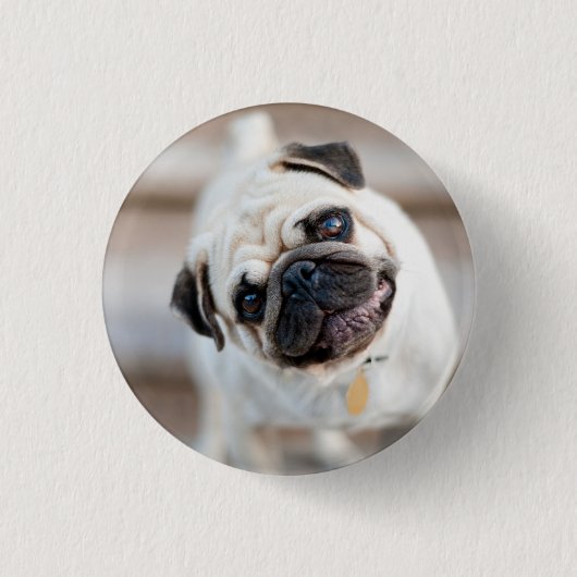 Badge Rond 2,50 Cm Tillette Carlin (Devant)