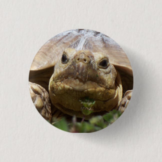 Badge Rond 2,50 Cm Tortue de Sulcata