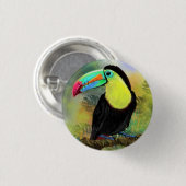 Badge Rond 2,50 Cm Toucan Bird Button Exotic Tropical Toco (Devant & derrière)