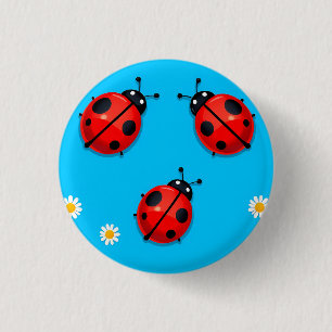 Badge Rond 2,50 Cm Trois coccinelles colorées sur fond bleu