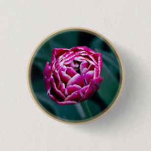 Badge Rond 2,50 Cm Tulip rose moisi