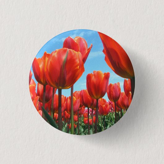 Badge Rond 2,50 Cm Tulipes (Devant)