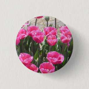 Badge Rond 2,50 Cm Tulipes roses