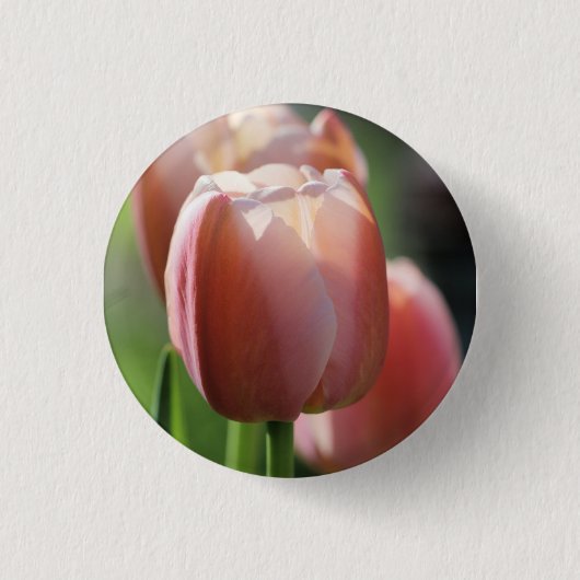 Badge Rond 2,50 Cm Tulipes roses (Devant)