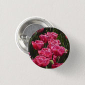 Badge Rond 2,50 Cm Tulipes roses (Devant & derrière)