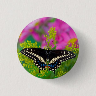 Badge Rond 2,50 Cm Un papillon Machaon se pose