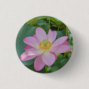 Badge Rond 2,50 Cm Une fleur de lotus vibrante