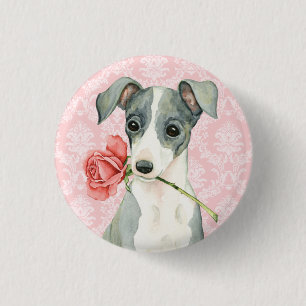 Badge Rond 2,50 Cm Valentine Rose italien Greyhound