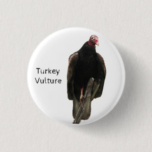 Badge Rond 2,50 Cm Vautour de Turquie
