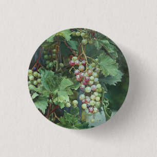 Badge Rond 2,50 Cm Vigne Réaliste avec Feuilles – Art Fin