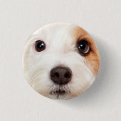 Badge Rond 2,50 Cm Visage de chiot (Devant)