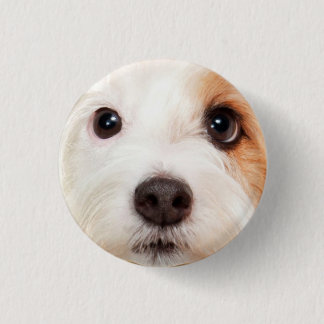 Badge Rond 2,50 Cm Visage de chiot