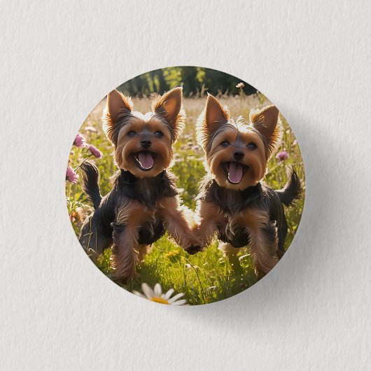 Badge Rond 2,50 Cm Yorkshire Terriers Jouer dans l'herbe (Devant)