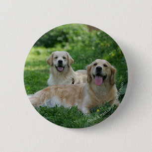 Badge Rond 5 Cm 2 chiens d'arrêt d'or s'étendant dans l'herbe