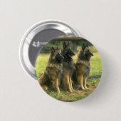 Badge Rond 5 Cm 3 bergers allemands (Devant & derrière)