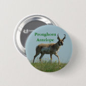 Badge Rond 5 Cm A10 Pronghorn Antelope (Devant & derrière)