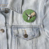 Badge Rond 5 Cm A11 Pronghorn Antelope (En situation)