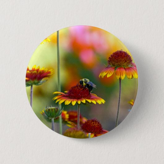 Badge Rond 5 Cm Abee sur Gaillardia (Devant)