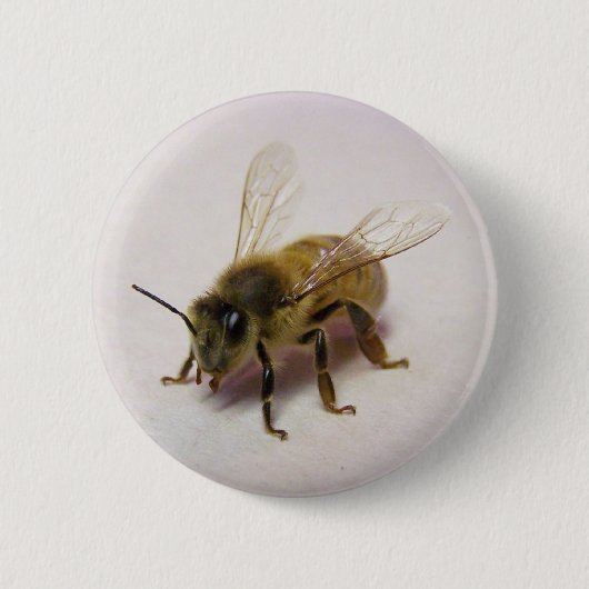 Badge Rond 5 Cm Abeille de miel (Devant)