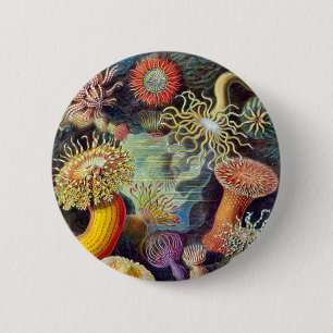 Badge Rond 5 Cm Actiniae illustration peinture Germa Ernst Haeckel