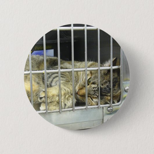 Badge Rond 5 Cm Adoptez un bouton 001 de chat (Devant)