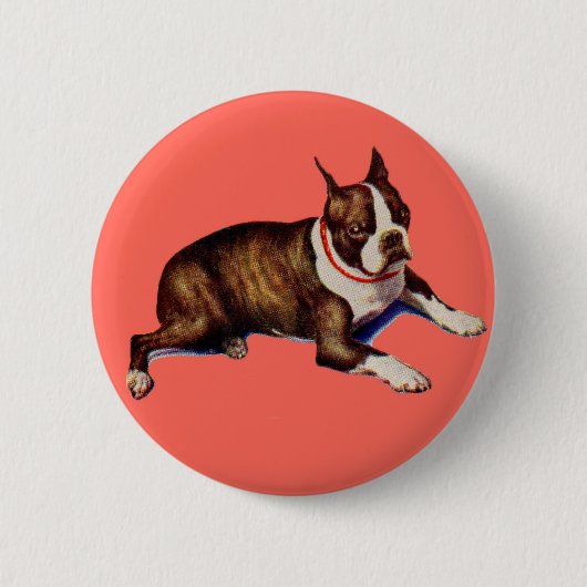 Badge Rond 5 Cm adorable Boston terrier (Devant)
