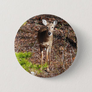 Badge Rond 5 Cm Adorable Cerf dans les Bois Photographie de la nat