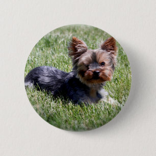 Badge Rond 5 Cm Adorable Yorkie Produits multiples sélectionnés