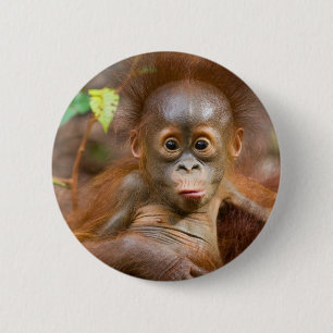 Badge Rond 5 Cm Affaires de singe 3