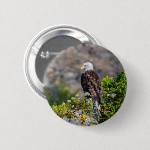 Badge Rond 5 Cm Aigle bald assis sur le rocher