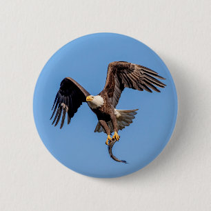 Badge Rond 5 Cm Aigle Bald avec un poisson