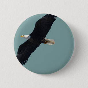 Badge Rond 5 Cm aigle chauve en vol