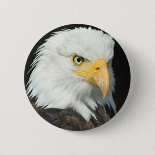 Badge Rond 5 Cm Aigle de Bald