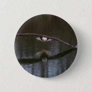 Badge Rond 5 Cm Aigle de Bald en vol