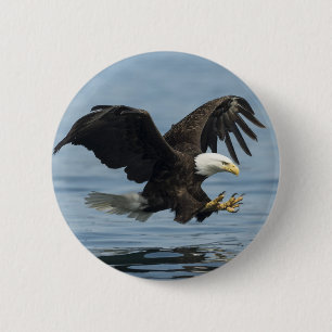 Badge Rond 5 Cm Aigle en approche
