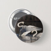 Badge Rond 5 Cm Aimer les cygnes (Devant & derrière)