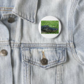 Badge Rond 5 Cm Alligator dans l'herbe (En situation)