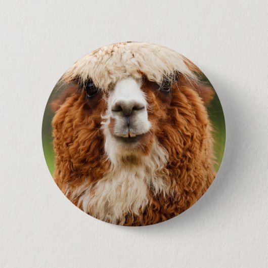 Badge Rond 5 Cm Alpaca (Devant)