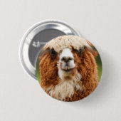 Badge Rond 5 Cm Alpaca (Devant & derrière)