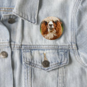 Badge Rond 5 Cm Alpaca (En situation)