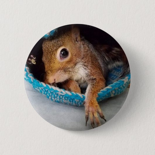 Badge Rond 5 Cm Amarante dans son nid (Devant)