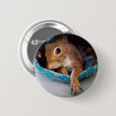 Badge Rond 5 Cm Amarante dans son nid (Devant & derrière)