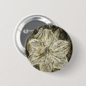 Badge Rond 5 Cm Amaryllis Old Time Sketch (Devant & derrière)
