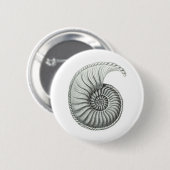 Badge Rond 5 Cm Ammonite (Devant & derrière)
