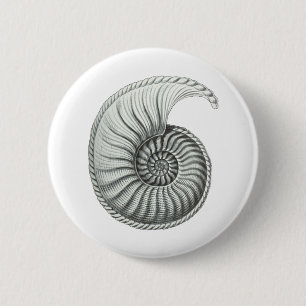 Badge Rond 5 Cm Ammonite