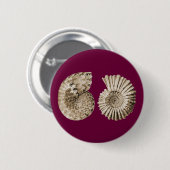 Badge Rond 5 Cm Ammonites (Devant & derrière)