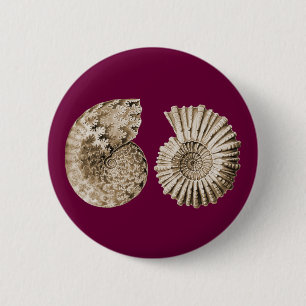 Badge Rond 5 Cm Ammonites